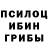 Галлюциногенные грибы мицелий mark Sidorevich
