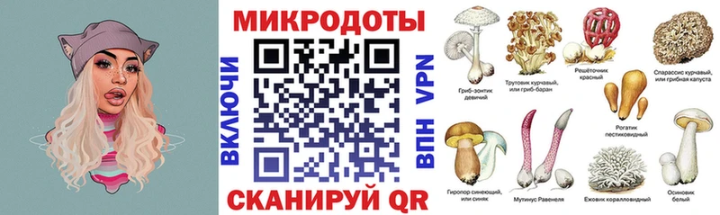 Псилоцибиновые грибы Psilocybine cubensis  Керчь 
