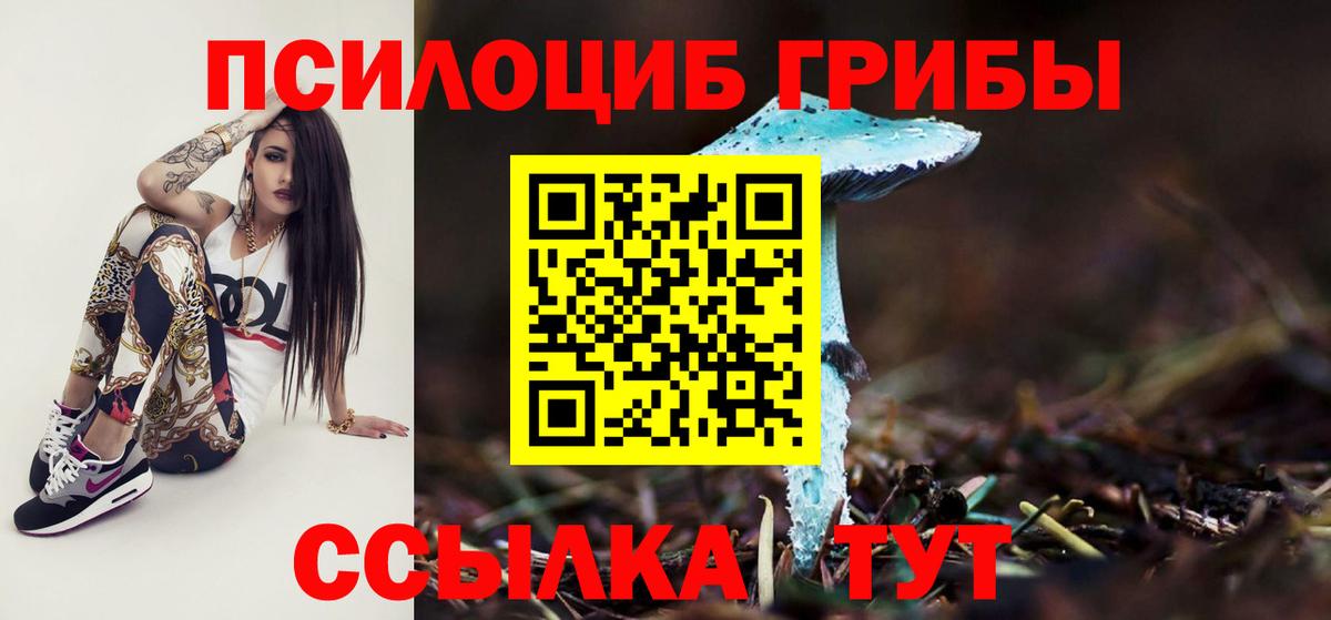 Галлюциногенные грибы Psilocybine cubensis  Вход с VPN  Керчь 